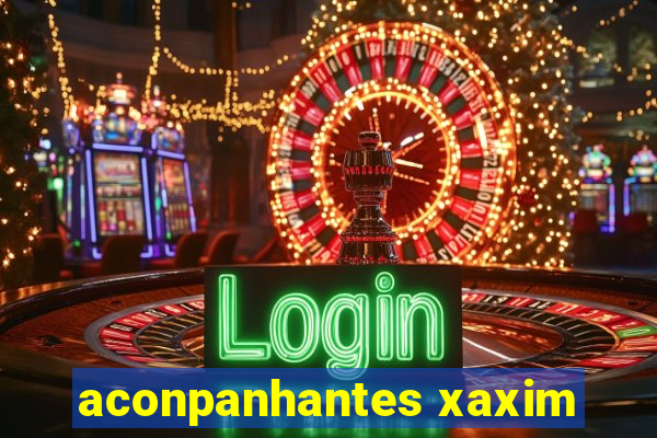 aconpanhantes xaxim